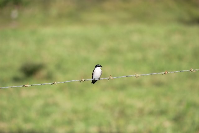 IMG_4193